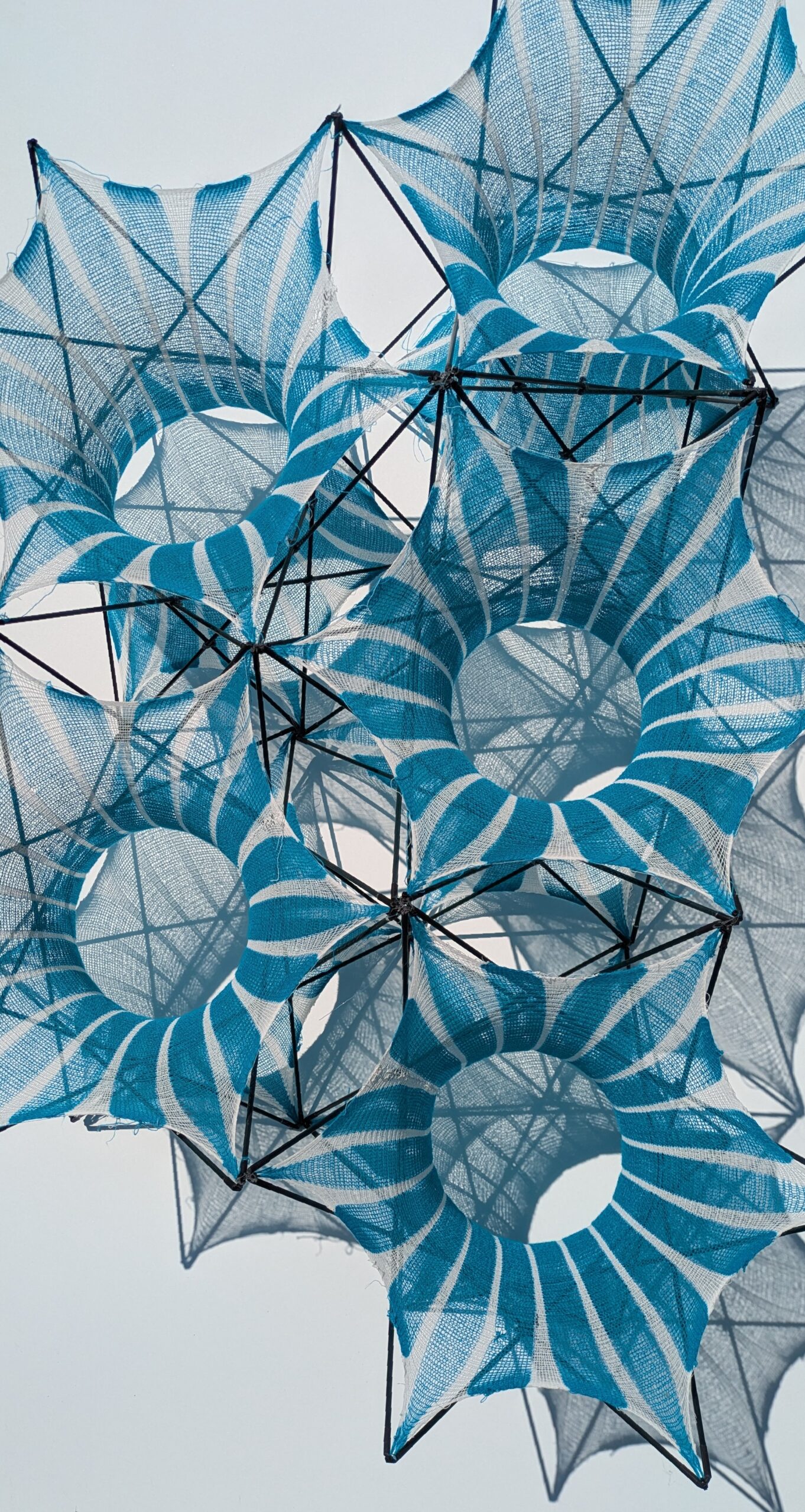 blue flowers